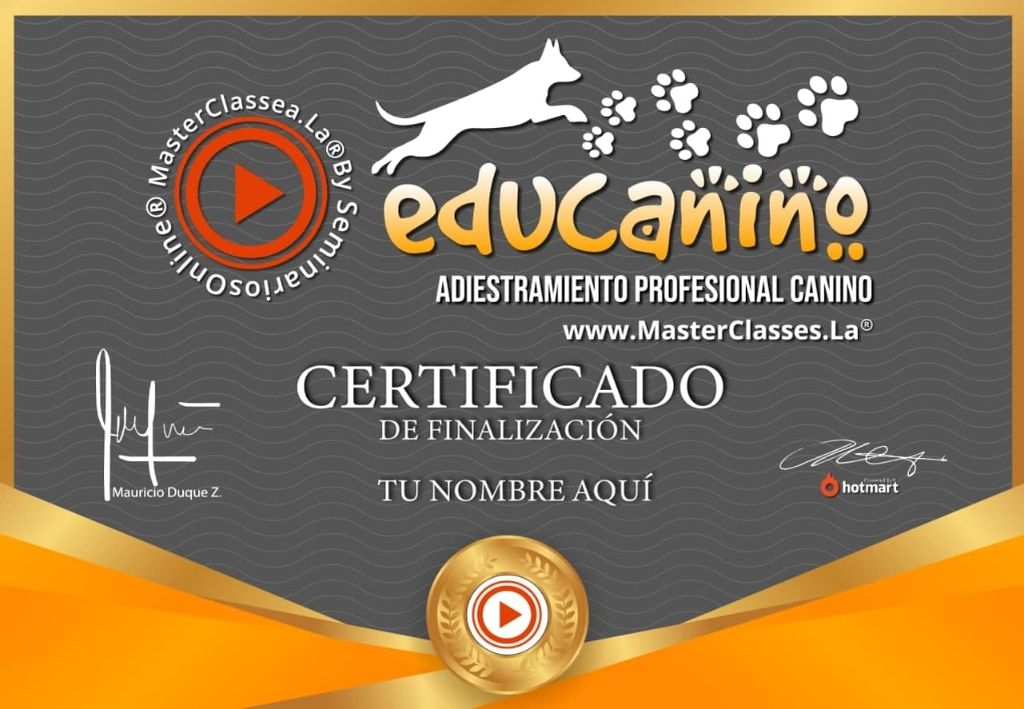 certificado_educanino